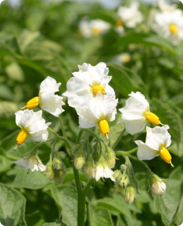 Hverdagsbillede fra AKD